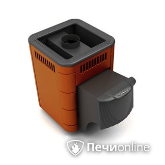 Дровяная банная печь TMF Оса Carbon терракота дверь антрацит в Петрозаводске