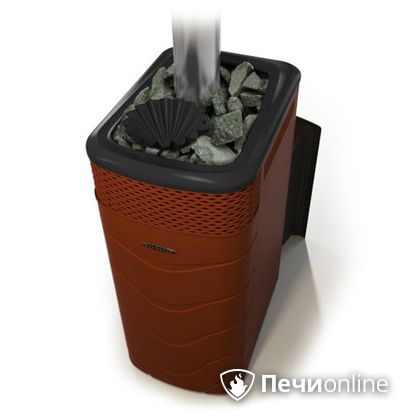 Дровяная банная печь TMF Гейзер XXL 2017 Inox Витра закрытая каменка терракота в Петрозаводске